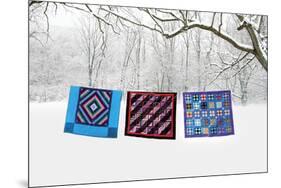 Winter Quilts-Bill Coleman-Mounted Giclee Print