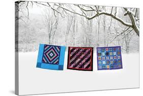 Winter Quilts-Bill Coleman-Stretched Canvas