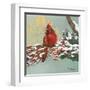 Winter Red Bird I-Tiffany Hakimipour-Framed Art Print