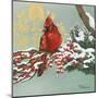 Winter Red Bird I-Tiffany Hakimipour-Mounted Art Print