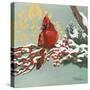 Winter Red Bird I-Tiffany Hakimipour-Stretched Canvas