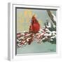 Winter Red Bird I-Tiffany Hakimipour-Framed Art Print