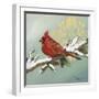 Winter Red Bird II-Tiffany Hakimipour-Framed Art Print