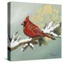 Winter Red Bird II-Tiffany Hakimipour-Stretched Canvas