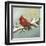 Winter Red Bird II-Tiffany Hakimipour-Framed Art Print