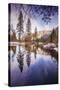 Winter Reflections in Yosemite Valley-null-Stretched Canvas