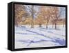 Winter, Richmond Park-Christopher Glanville-Framed Stretched Canvas