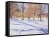 Winter, Richmond Park-Christopher Glanville-Framed Stretched Canvas