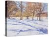 Winter, Richmond Park-Christopher Glanville-Stretched Canvas