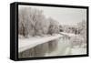 Winter River Ducks-lishansky-Framed Stretched Canvas