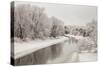 Winter River Ducks-lishansky-Stretched Canvas