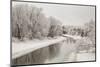 Winter River Ducks-lishansky-Mounted Photographic Print