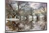 Winter River Zagyva In Hungary-null-Mounted Art Print