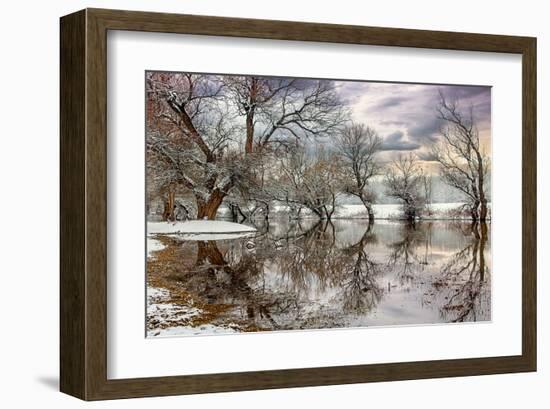 Winter River Zagyva In Hungary-null-Framed Art Print