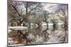 Winter River Zagyva In Hungary-null-Mounted Art Print