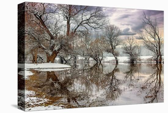 Winter River Zagyva In Hungary-null-Stretched Canvas