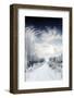 Winter Road and Forest-Elenamiv-Framed Photographic Print