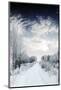 Winter Road and Forest-Elenamiv-Mounted Photographic Print