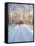 Winter Road in New England-Bill Bachmann-Framed Stretched Canvas