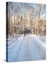 Winter Road in New England-Bill Bachmann-Stretched Canvas