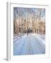 Winter Road in New England-Bill Bachmann-Framed Photographic Print