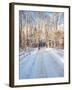 Winter Road in New England-Bill Bachmann-Framed Photographic Print