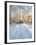 Winter Road in New England-Bill Bachmann-Framed Photographic Print