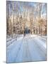 Winter Road in New England-Bill Bachmann-Mounted Photographic Print