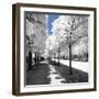 Winter Road - In the Style of Oil Painting-Philippe Hugonnard-Framed Giclee Print