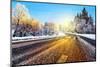 Winter Road in Winter-stefanholm-Mounted Photographic Print