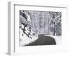 Winter Road in Yosemite National Park-Darrell Gulin-Framed Photographic Print