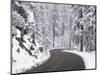 Winter Road in Yosemite National Park-Darrell Gulin-Mounted Photographic Print