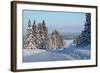 Winter Road with Snowy Pine Trees at Sunny Day-Dudarev Mikhail-Framed Photographic Print