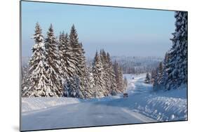 Winter Road with Snowy Pine Trees at Sunny Day-Dudarev Mikhail-Mounted Photographic Print