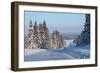 Winter Road with Snowy Pine Trees at Sunny Day-Dudarev Mikhail-Framed Photographic Print