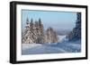 Winter Road with Snowy Pine Trees at Sunny Day-Dudarev Mikhail-Framed Photographic Print