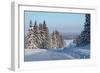 Winter Road with Snowy Pine Trees at Sunny Day-Dudarev Mikhail-Framed Photographic Print