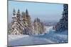 Winter Road with Snowy Pine Trees at Sunny Day-Dudarev Mikhail-Mounted Photographic Print