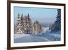 Winter Road with Snowy Pine Trees at Sunny Day-Dudarev Mikhail-Framed Photographic Print