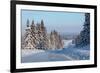 Winter Road with Snowy Pine Trees at Sunny Day-Dudarev Mikhail-Framed Photographic Print