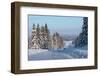 Winter Road with Snowy Pine Trees at Sunny Day-Dudarev Mikhail-Framed Photographic Print