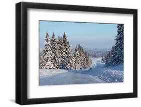 Winter Road with Snowy Pine Trees at Sunny Day-Dudarev Mikhail-Framed Photographic Print