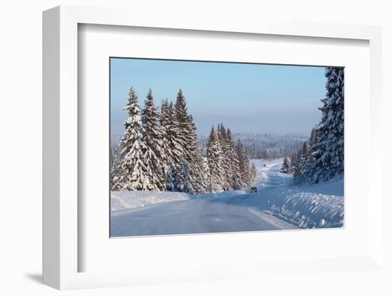 Winter Road with Snowy Pine Trees at Sunny Day-Dudarev Mikhail-Framed Photographic Print