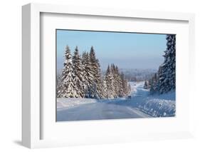 Winter Road with Snowy Pine Trees at Sunny Day-Dudarev Mikhail-Framed Photographic Print