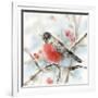 Winter Robin-Katrina Pete-Framed Art Print