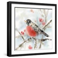 Winter Robin-Katrina Pete-Framed Art Print