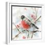 Winter Robin-Katrina Pete-Framed Art Print