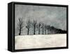 Winter Row-Ynon Mabat-Framed Stretched Canvas