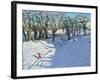 Winter, Rowsley, Derbyshire, 2014-Andrew Macara-Framed Giclee Print