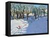 Winter, Rowsley, Derbyshire, 2014-Andrew Macara-Framed Stretched Canvas